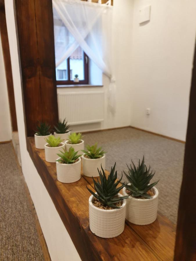 Appartement U Mikesu à Vyšší Brod Extérieur photo